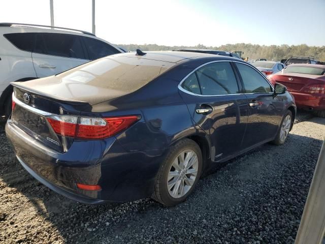 2013 Lexus ES 300H