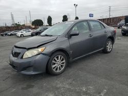 Toyota Vehiculos salvage en venta: 2009 Toyota Corolla Base