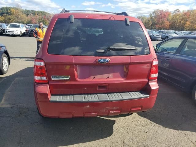 2011 Ford Escape XLT