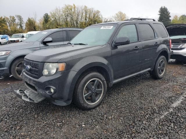 2011 Ford Escape XLT