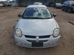 2000 Dodge Neon Base