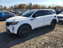 Salvage cars for sale from Copart Chalfont, PA: 2023 KIA Sorento S