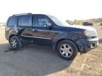 2010 Honda Pilot Touring