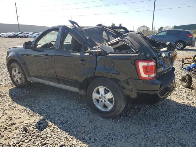 2009 Ford Escape XLT