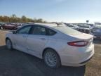 2014 Ford Fusion SE Hybrid