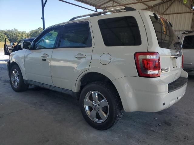 2011 Ford Escape Limited