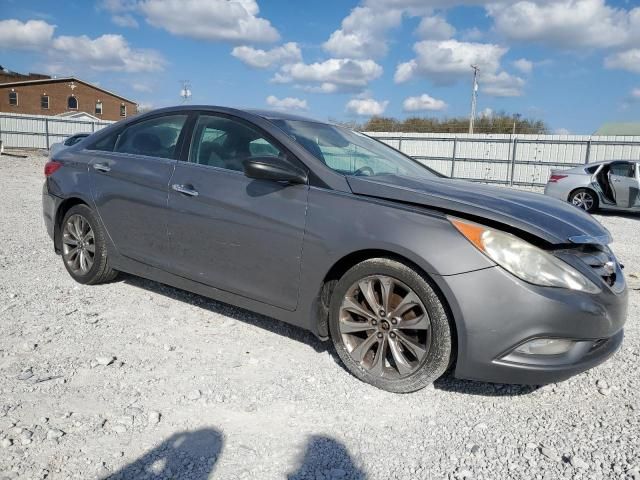 2011 Hyundai Sonata SE