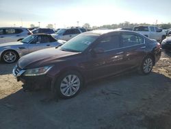 Salvage cars for sale at Indianapolis, IN auction: 2014 Honda Accord EXL