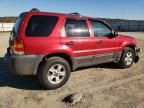 2006 Ford Escape XLT