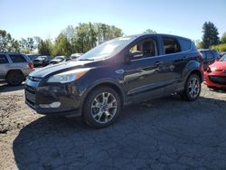 Salvage cars for sale at Portland, OR auction: 2013 Ford Escape SEL