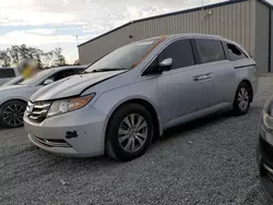 Salvage cars for sale at Spartanburg, SC auction: 2014 Honda Odyssey EX