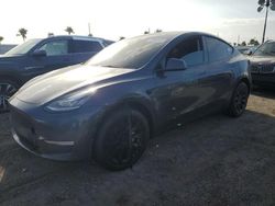 2023 Tesla Model Y en venta en Arcadia, FL