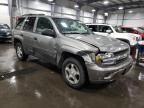 2007 Chevrolet Trailblazer LS