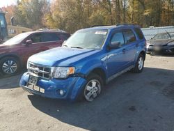 Ford Vehiculos salvage en venta: 2012 Ford Escape XLT