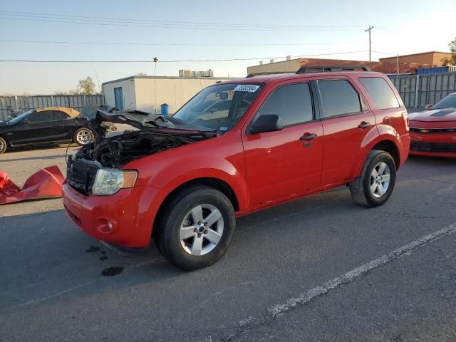 2009 Ford Escape XLT