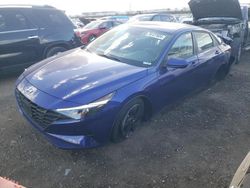 Salvage cars for sale at Elgin, IL auction: 2022 Hyundai Elantra SEL