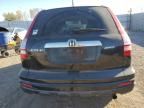 2010 Honda CR-V EXL