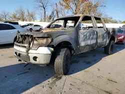 Ford F-150 salvage cars for sale: 2013 Ford F150 Supercrew