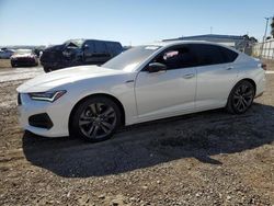 Salvage cars for sale at San Diego, CA auction: 2023 Acura TLX Tech A