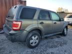 2010 Ford Escape XLS