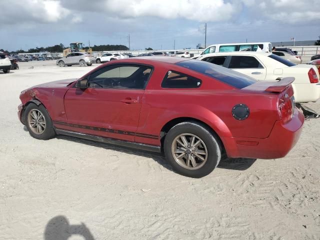 2005 Ford Mustang