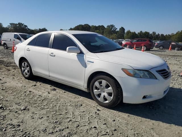 2008 Toyota Camry Hybrid