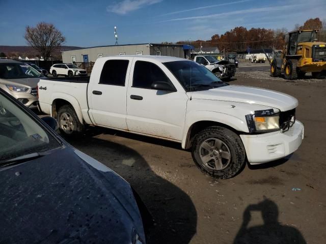 2008 Dodge Dakota Quattro