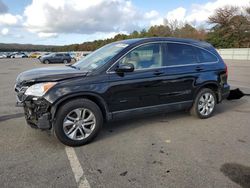 Salvage cars for sale at Brookhaven, NY auction: 2010 Honda CR-V EXL