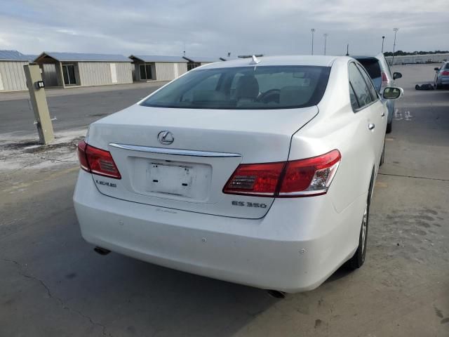 2010 Lexus ES 350