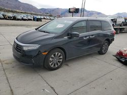 Salvage cars for sale at Farr West, UT auction: 2024 Honda Odyssey EXL