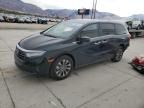 2024 Honda Odyssey EXL