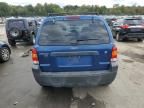 2007 Ford Escape XLT