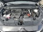 2024 Lexus TX 350 Base