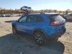 2017 Jeep Cherokee Trailhawk