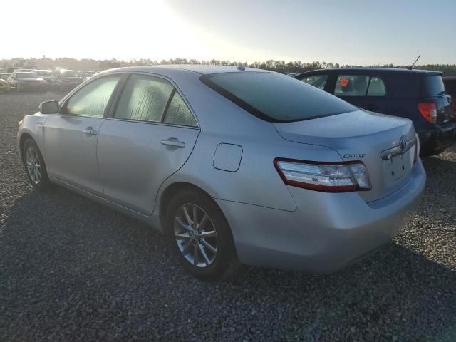 2010 Toyota Camry Hybrid