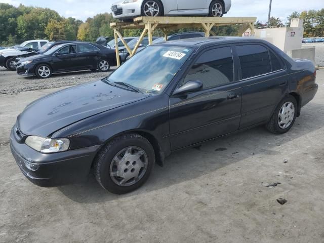 1999 Toyota Corolla VE