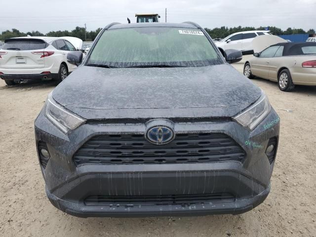 2021 Toyota Rav4 XLE Premium