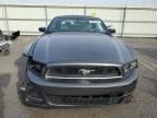 2013 Ford Mustang