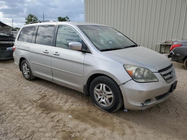 2005 Honda Odyssey EXL