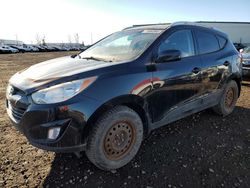 2013 Hyundai Tucson GLS en venta en Rocky View County, AB