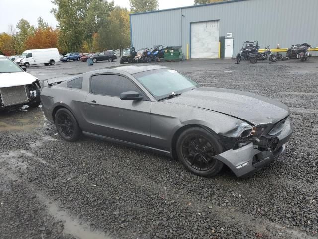 2011 Ford Mustang