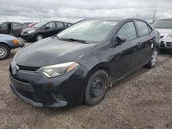 Salvage cars for sale at Arcadia, FL auction: 2015 Toyota Corolla L