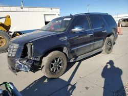 Salvage cars for sale at Farr West, UT auction: 2007 Cadillac Escalade Luxury