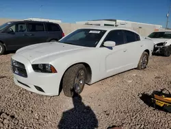 Dodge salvage cars for sale: 2013 Dodge Charger SE