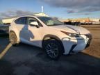 2020 Lexus NX 300