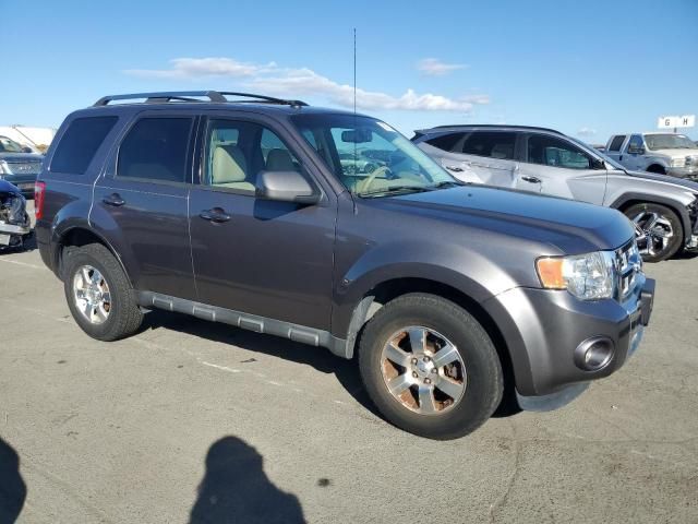 2011 Ford Escape Limited