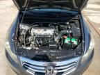 2011 Honda Accord EX