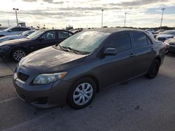 Salvage cars for sale at Riverview, FL auction: 2010 Toyota Corolla Base