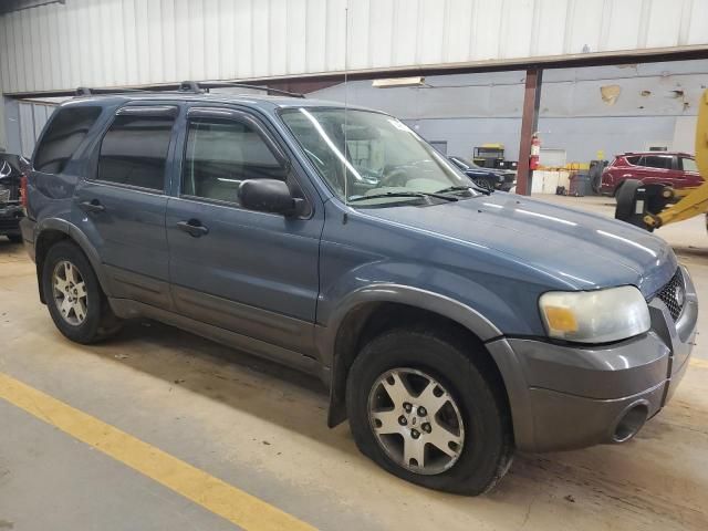 2005 Ford Escape XLT