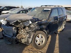 Ford Vehiculos salvage en venta: 2012 Ford Escape XLT